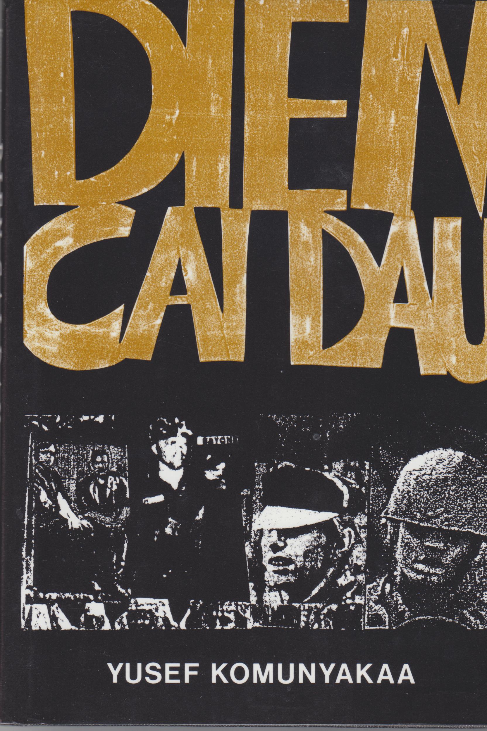 Image for Dien Cai Dau